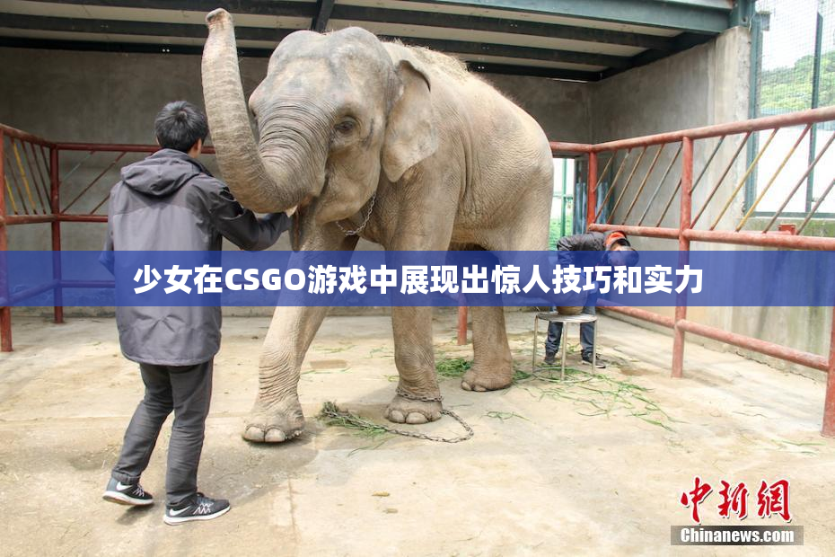 少女在CSGO游戏中展现出惊人技巧和实力