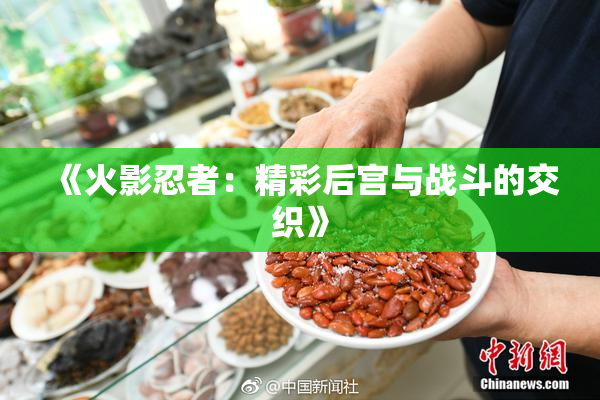 《火影忍者：精彩后宫与战斗的交织》