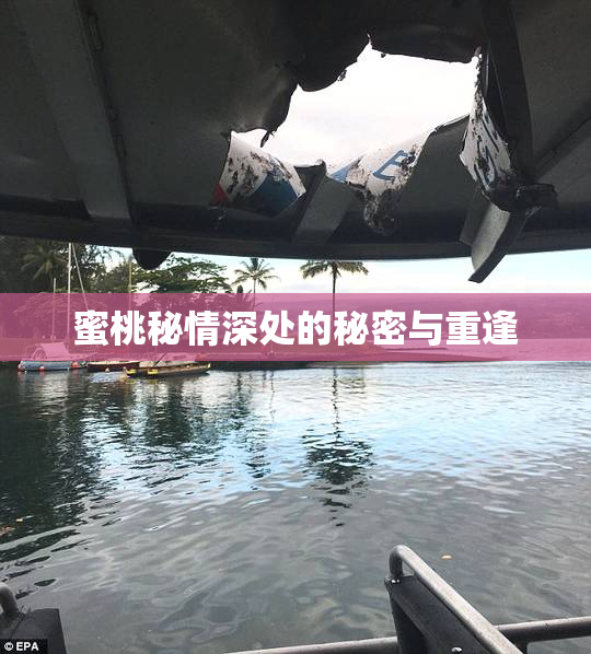 蜜桃秘情深处的秘密与重逢