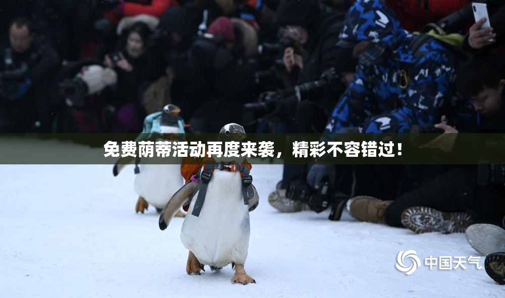 免费荫蒂活动再度来袭，精彩不容错过！