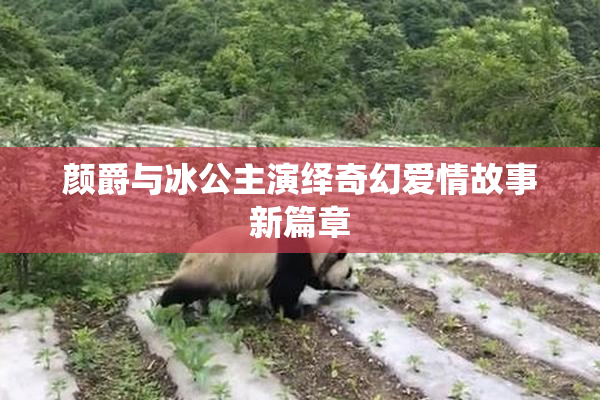 颜爵与冰公主演绎奇幻爱情故事新篇章