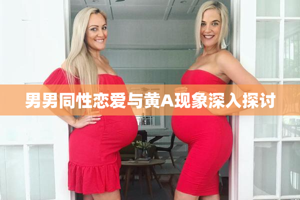 男男同性恋爱与黄A现象深入探讨
