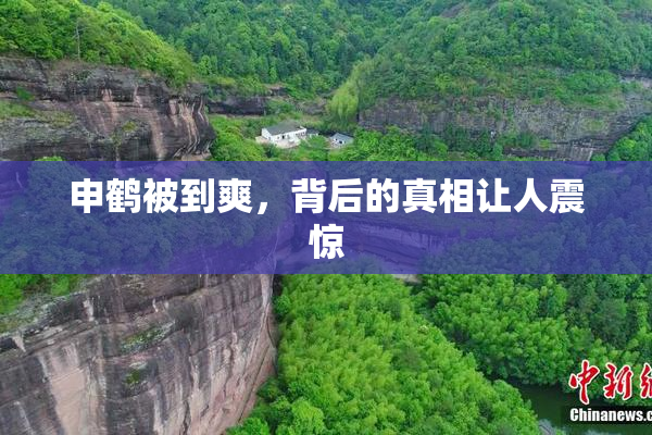 申鹤被到爽，背后的真相让人震惊