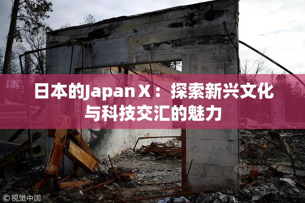 日本的JapanⅩ：探索新兴文化与科技交汇的魅力