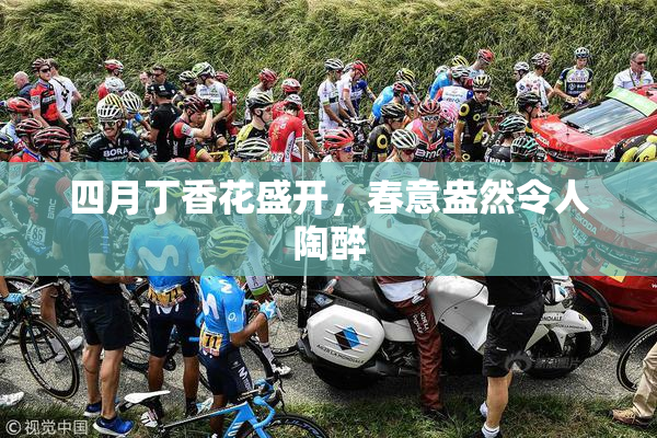 四月丁香花盛开，春意盎然令人陶醉