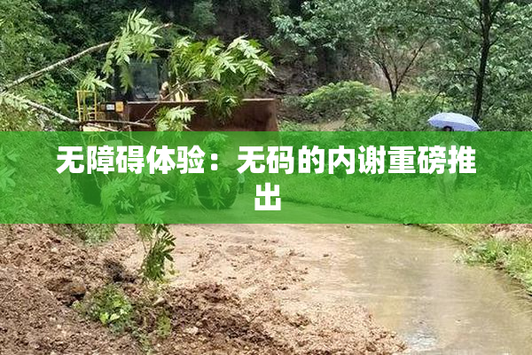 无障碍体验：无码的内谢重磅推出