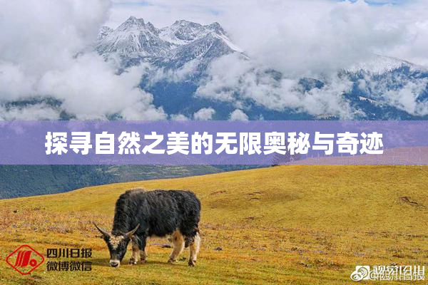 探寻自然之美的无限奥秘与奇迹