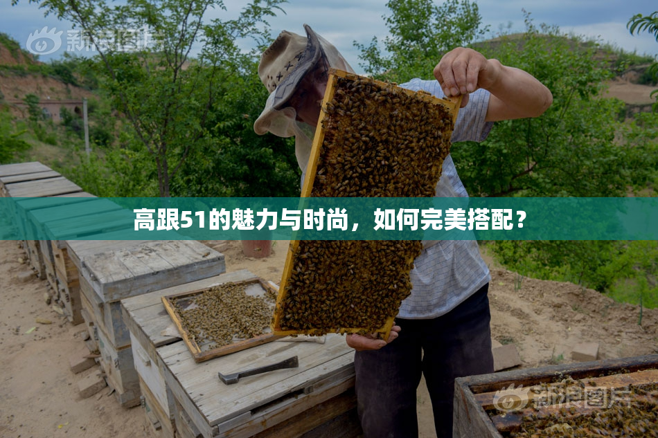 高跟51的魅力与时尚，如何完美搭配？