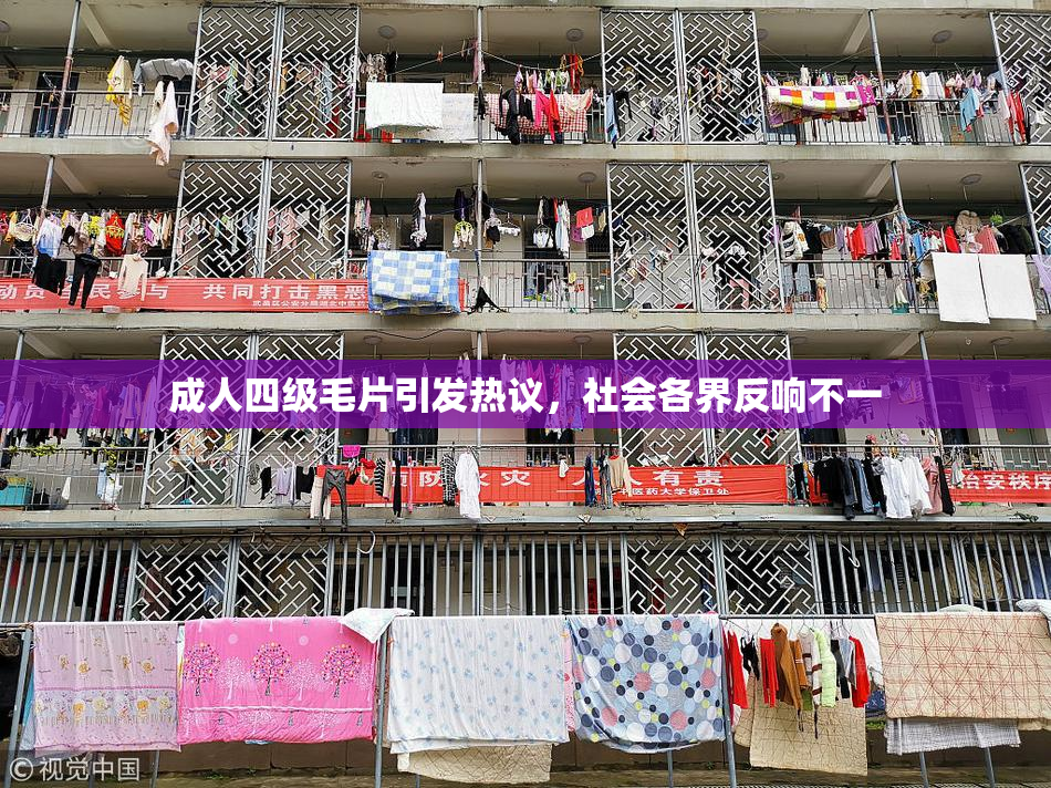 成人四级毛片引发热议，社会各界反响不一