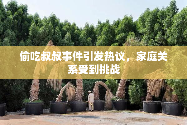 偷吃叔叔事件引发热议，家庭关系受到挑战