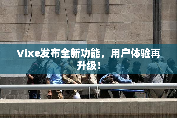Vixe发布全新功能，用户体验再升级！
