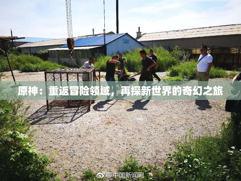 原神：重返冒险领域，再探新世界的奇幻之旅