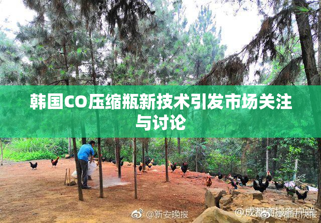韩国CO压缩瓶新技术引发市场关注与讨论
