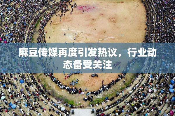 麻豆传媒再度引发热议，行业动态备受关注