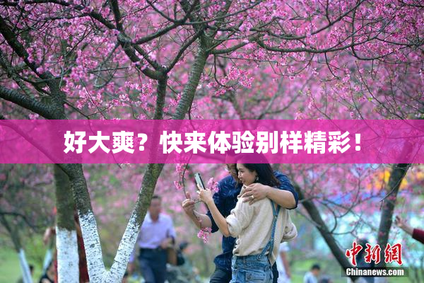 好大爽？快来体验别样精彩！