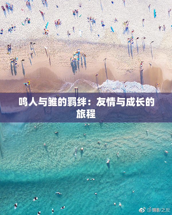 鸣人与雏的羁绊：友情与成长的旅程