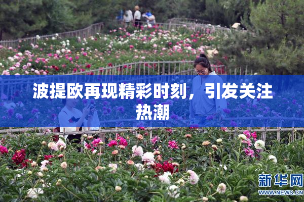 波提欧再现精彩时刻，引发关注热潮