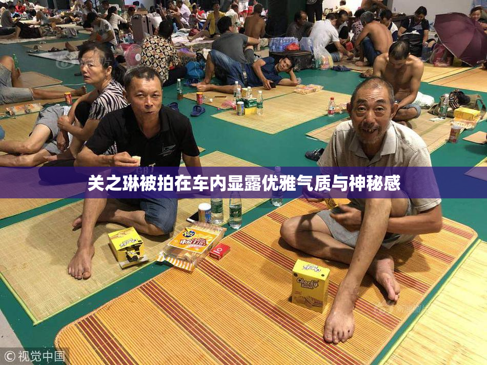 关之琳被拍在车内显露优雅气质与神秘感