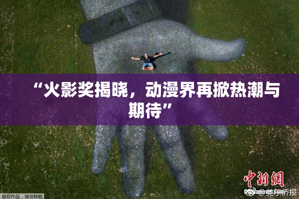 “火影奖揭晓，动漫界再掀热潮与期待”