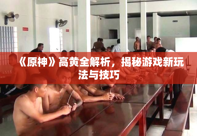 《原神》高黄全解析，揭秘游戏新玩法与技巧