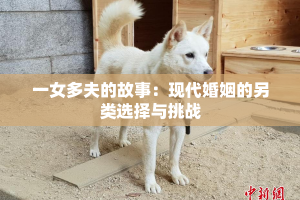 一女多夫的故事：现代婚姻的另类选择与挑战