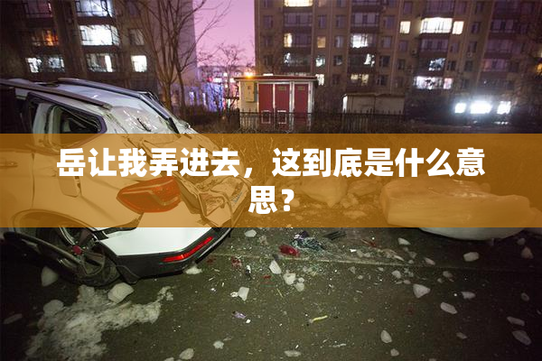 岳让我弄进去，这到底是什么意思？