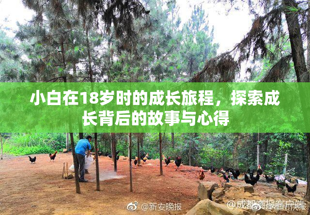 小白在18岁时的成长旅程，探索成长背后的故事与心得