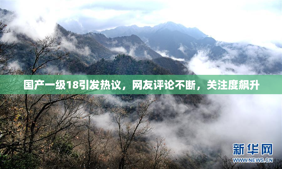 国产一级18引发热议，网友评论不断，关注度飙升
