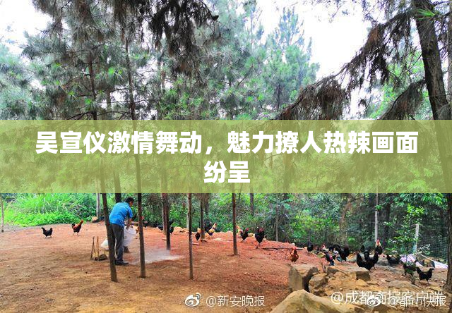 吴宣仪激情舞动，魅力撩人热辣画面纷呈
