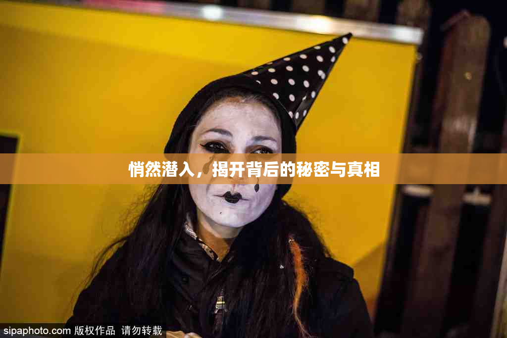 悄然潜入，揭开背后的秘密与真相