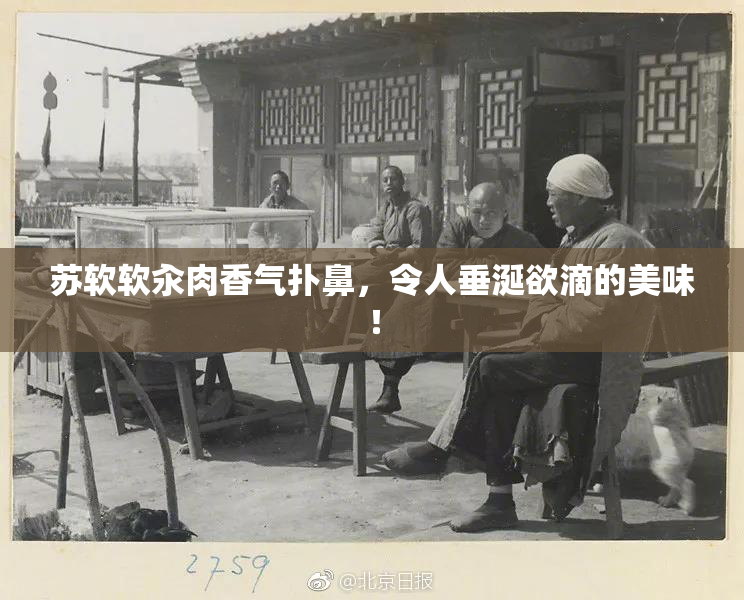 苏软软汆肉香气扑鼻，令人垂涎欲滴的美味！
