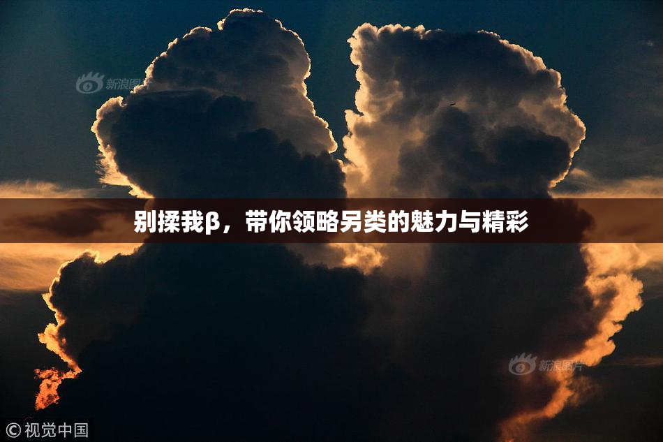 别揉我β，带你领略另类的魅力与精彩