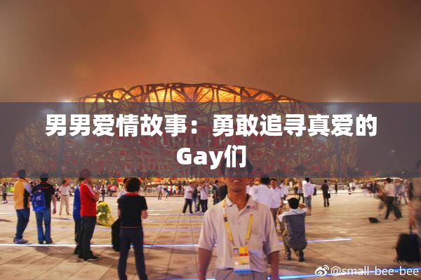 男男爱情故事：勇敢追寻真爱的Gay们