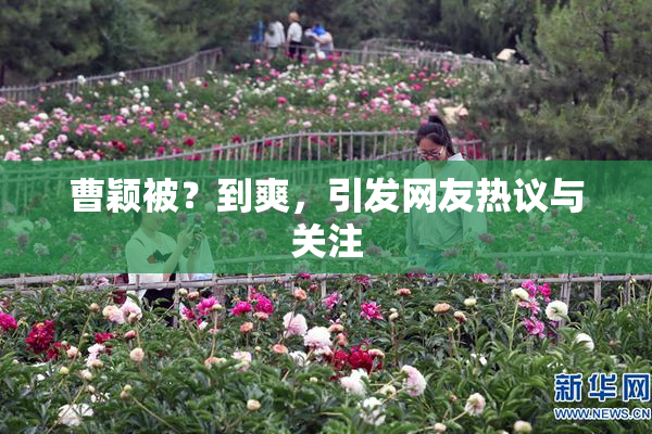 曹颖被？到爽，引发网友热议与关注