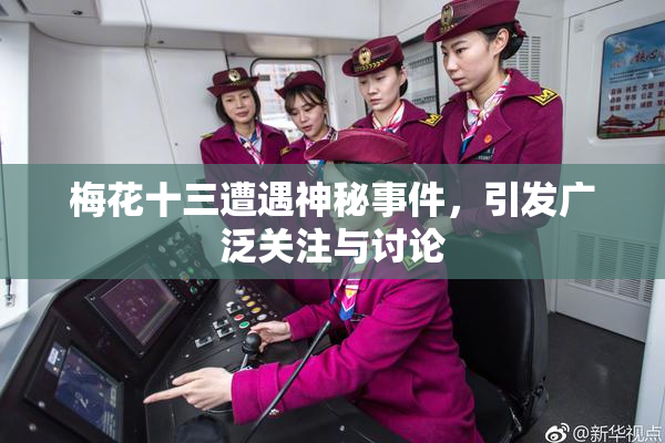 梅花十三遭遇神秘事件，引发广泛关注与讨论