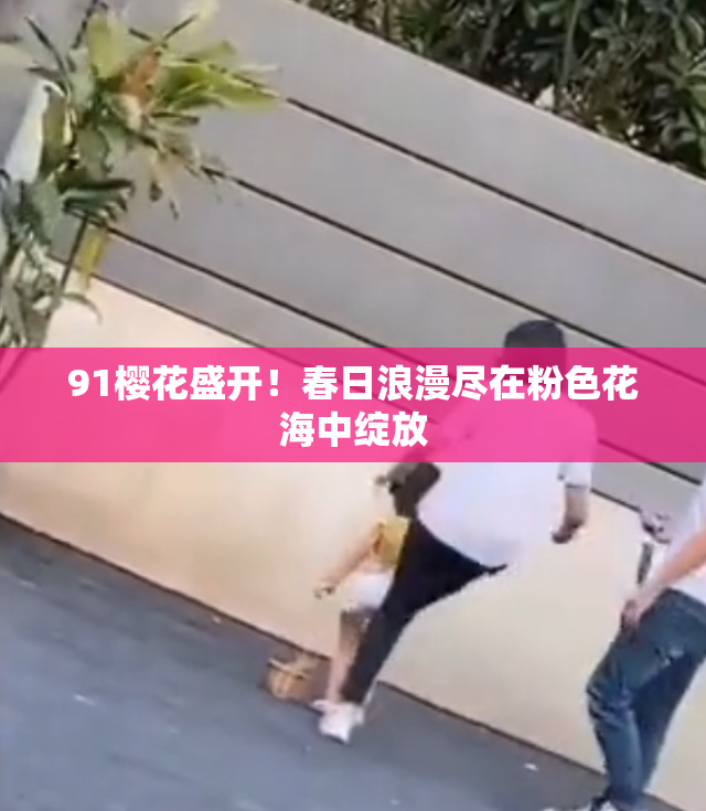 91樱花盛开！春日浪漫尽在粉色花海中绽放