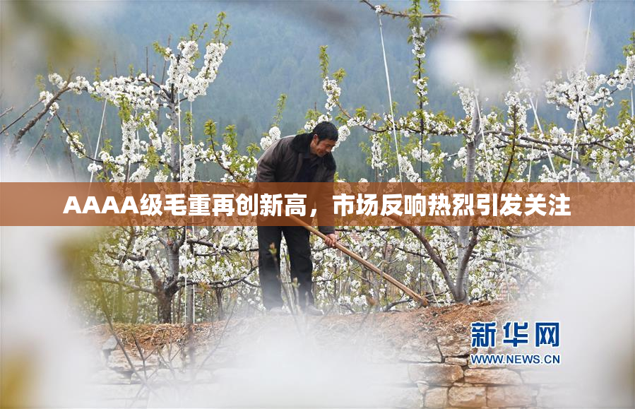 AAAA级毛重再创新高，市场反响热烈引发关注