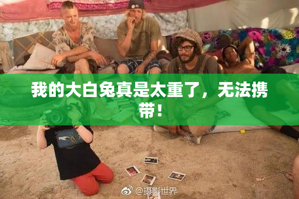 我的大白兔真是太重了，无法携带！