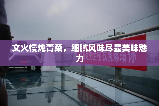 文火慢炖青菜，细腻风味尽显美味魅力