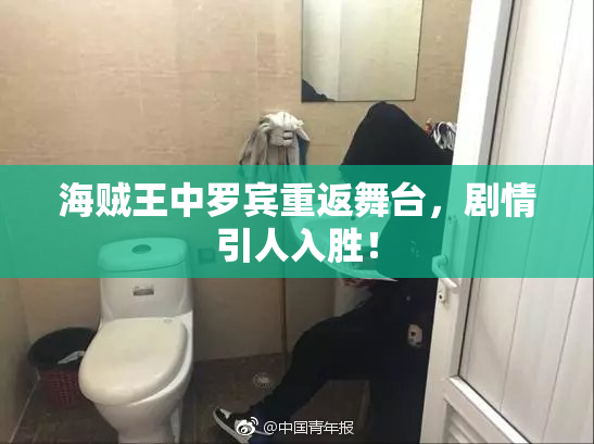 海贼王中罗宾重返舞台，剧情引人入胜！