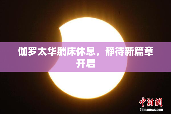 伽罗太华躺床休息，静待新篇章开启