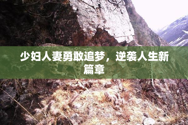 少妇人妻勇敢追梦，逆袭人生新篇章