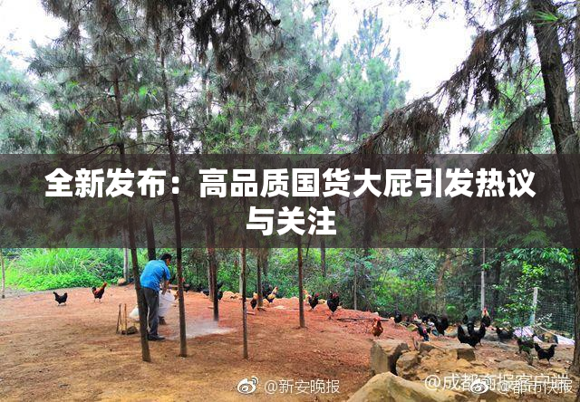 全新发布：高品质国货大屁引发热议与关注