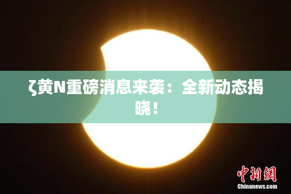 ζ黄Ν重磅消息来袭：全新动态揭晓！