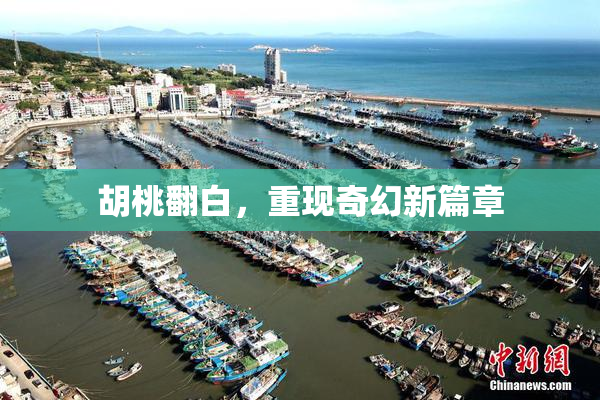 胡桃翻白，重现奇幻新篇章