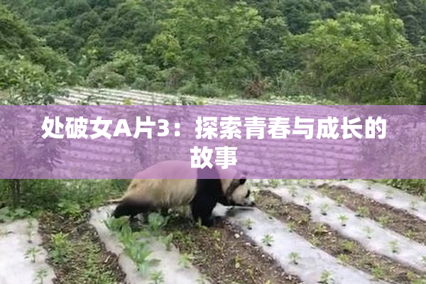 处破女A片3：探索青春与成长的故事