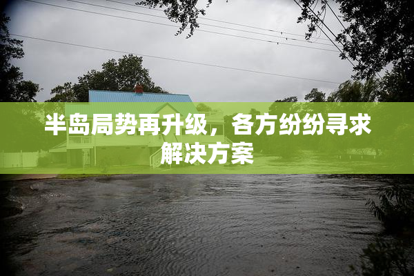 半岛局势再升级，各方纷纷寻求解决方案