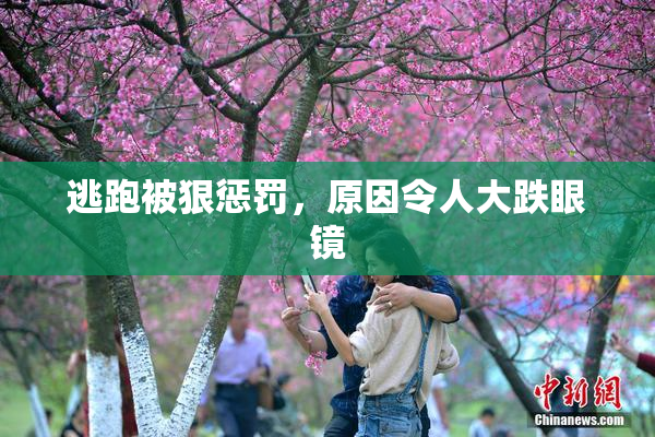 逃跑被狠惩罚，原因令人大跌眼镜