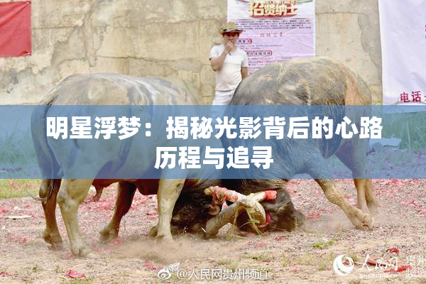 明星浮梦：揭秘光影背后的心路历程与追寻