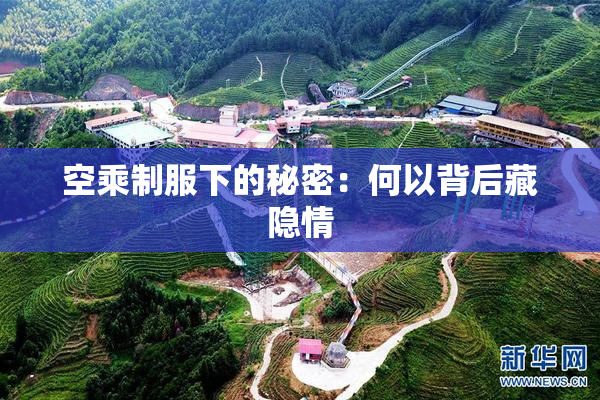 空乘制服下的秘密：何以背后藏隐情